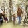 a family walking in a park