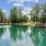 a body of water with a fountain and trees
