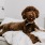 a brown dog lying on a couch